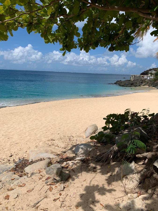 St Martin Nettle Bay Lovely Appartment Sandy Ground المظهر الخارجي الصورة